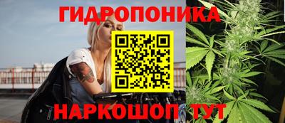 ECSTASY Аргун