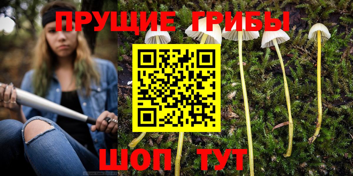 Псилоцибиновые грибы мухоморы  Галлюциногенные грибы Psilocybe  Верхний Уфалей  Вход с VPN 